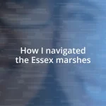 How I navigated the Essex marshes