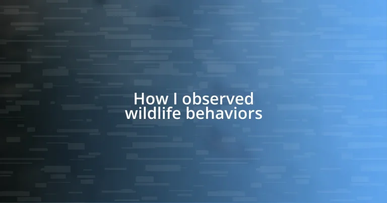 How I observed wildlife behaviors