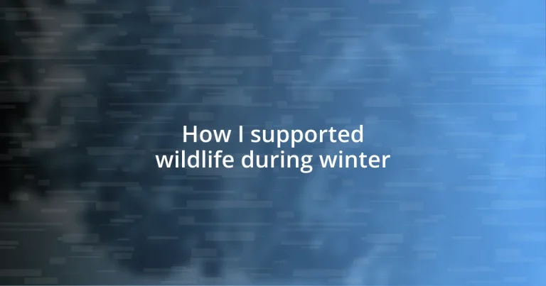 How I supported wildlife during winter