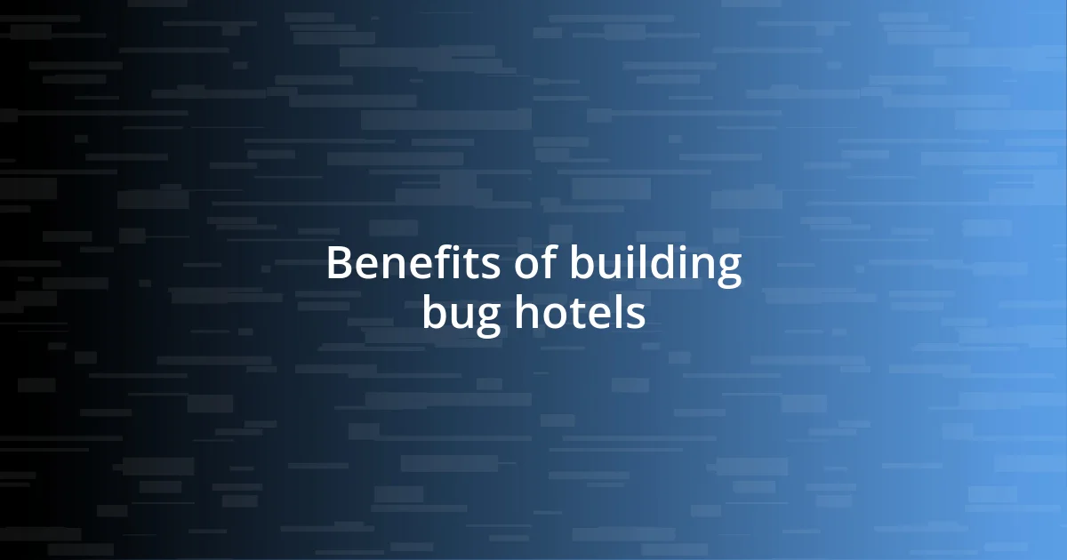 Benefits of building bug hotels