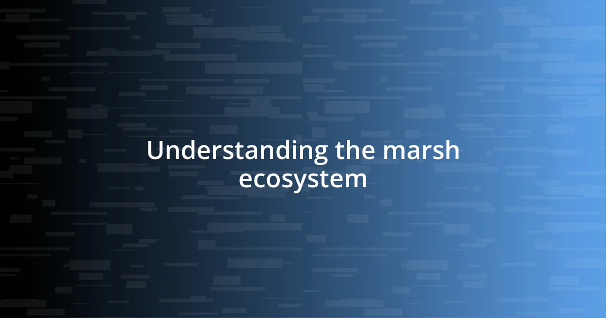 Understanding the marsh ecosystem