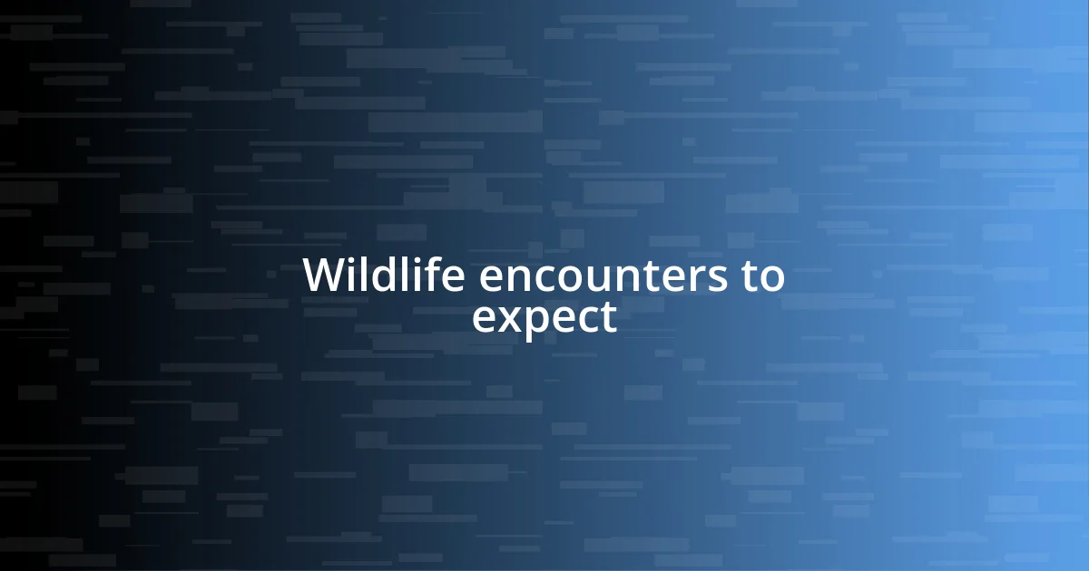 Wildlife encounters to expect