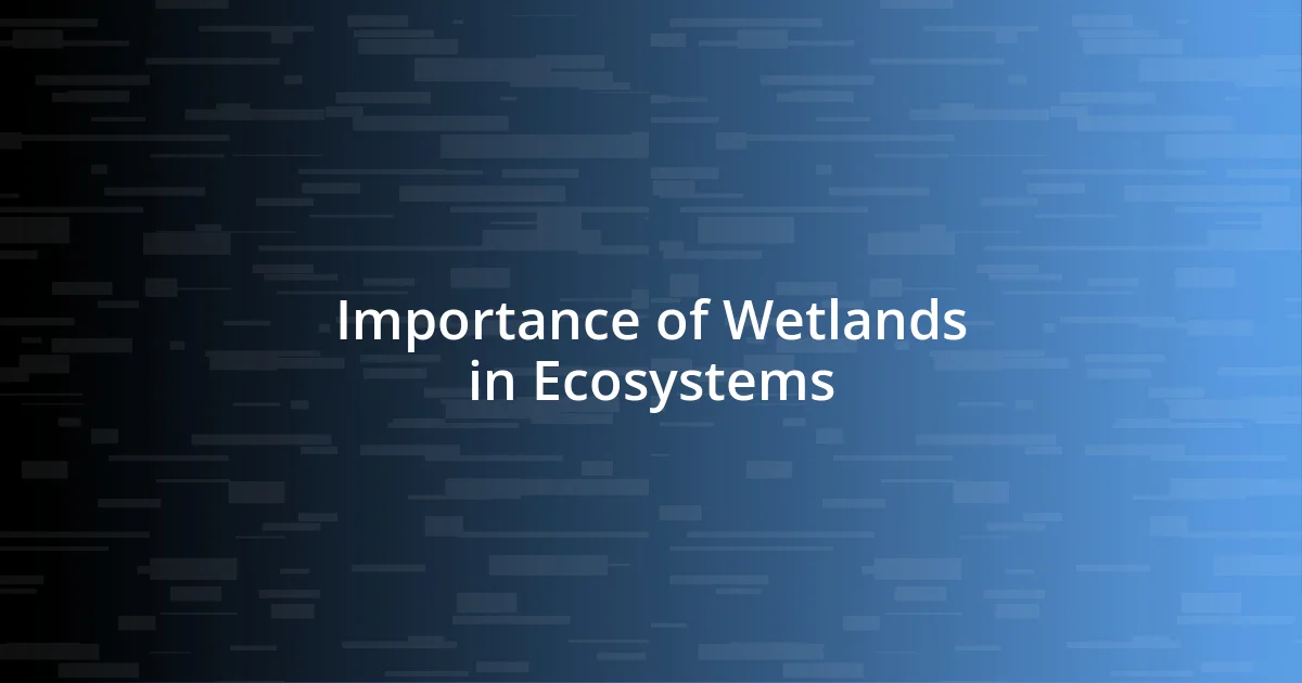 Importance of Wetlands in Ecosystems