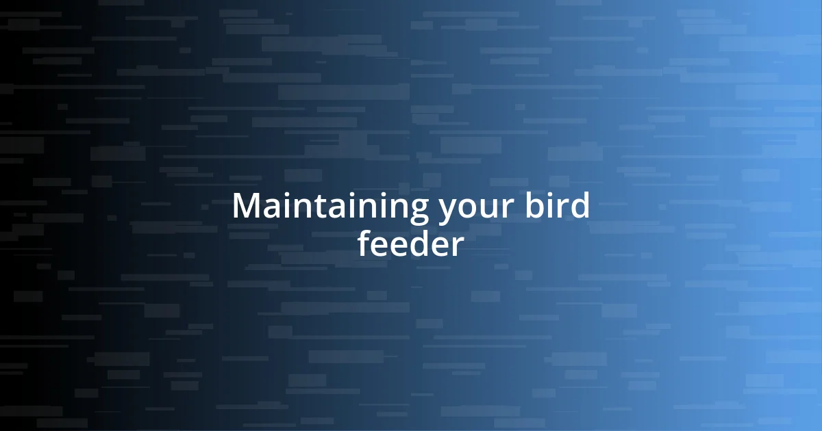 Maintaining your bird feeder