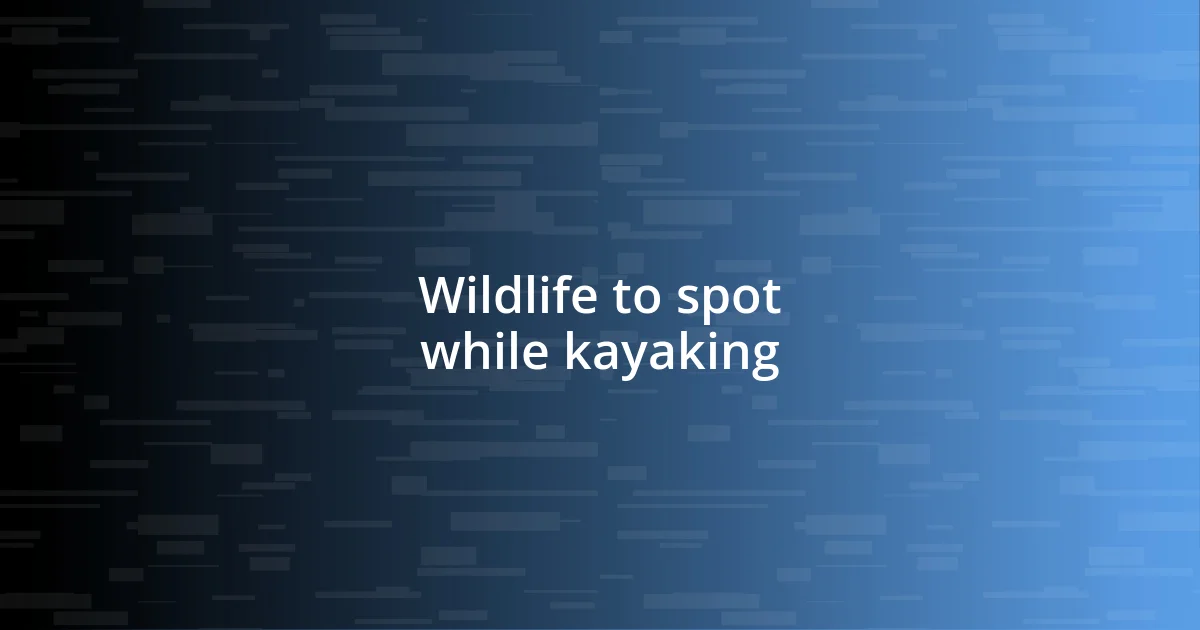 Wildlife to spot while kayaking