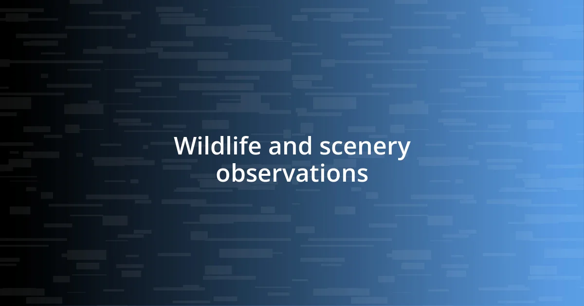 Wildlife and scenery observations