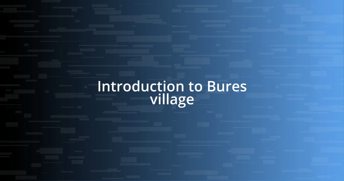 Introduction to Bures village