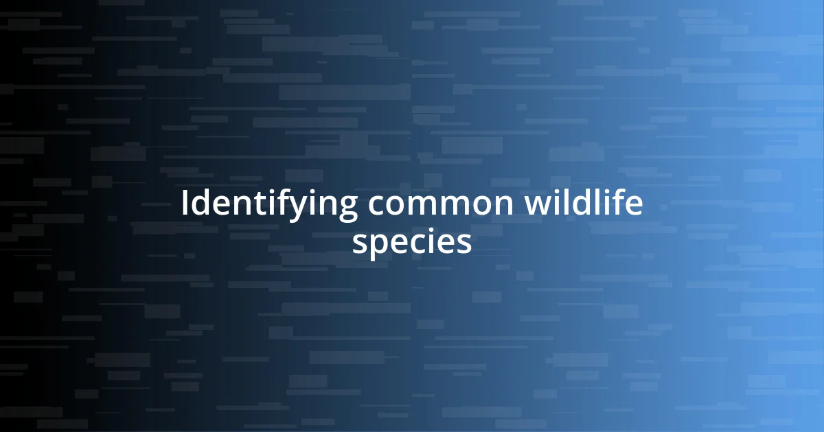 Identifying common wildlife species