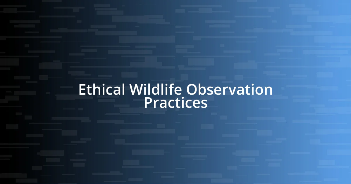 Ethical Wildlife Observation Practices