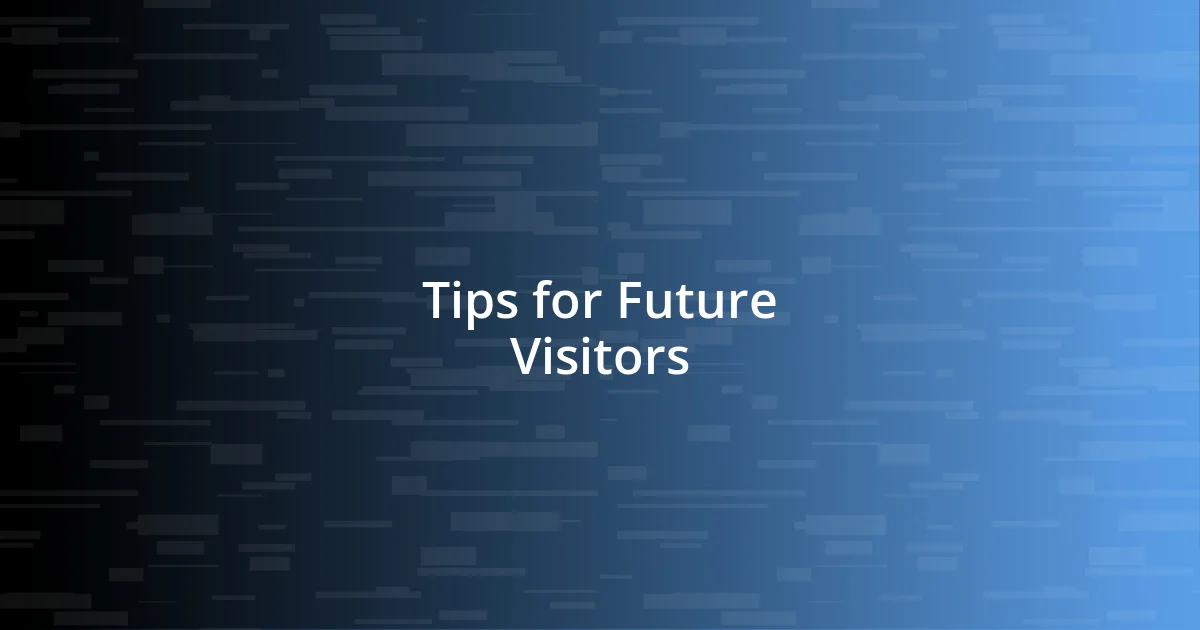 Tips for Future Visitors