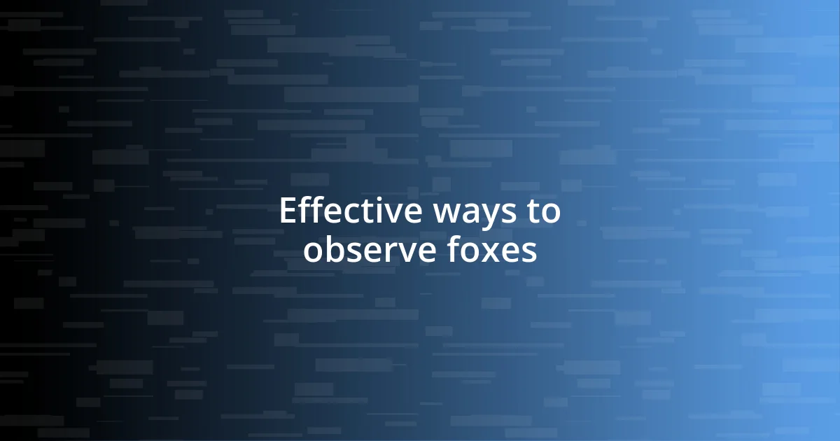 Effective ways to observe foxes